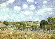 Alfred Sisley Meadow oil